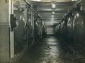 Wine Storage Tanks