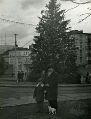 Crossroads of Zelena, Pereyaslavska and Studentska streets