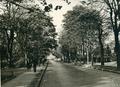 Lenin Avenue