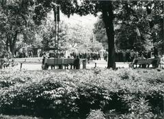 Flowerbed on Svoboda Avenue