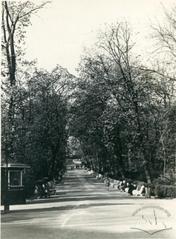 Ivan Franko's Park