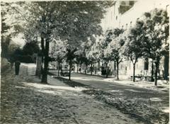 Вулиця Паркова