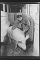 Department for procurement of supplies for the workers, Azovstal. Pig-tender, M. Yakov