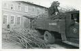 Delivery of saplings for planting at the factory