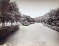 Garden around the house of director of the plant