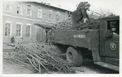 Delivery of saplings for planting at the factory