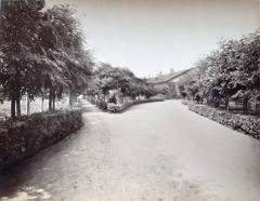 Garden around the house of director of the plant