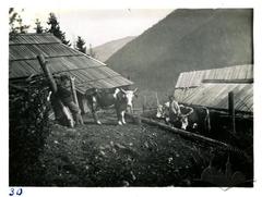Галичина, 1930 рік