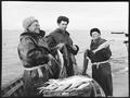 Рибколгосп ім. Шевченка