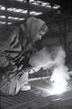 Best-performing steel structures manufacturers of the plant