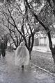 Осінь 1960 р.