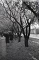 Осінь 1960 р.