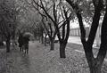 Осінь 1960 р.