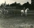 Знимки з першого сокільського краєвого здвигу у Львові 3 вересня 1911 року з нагоди п’ятдесятліття смерті Т. Шевченка