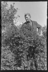Марко Залізняк