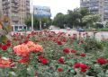 Ріг проспекту Луніна та вулиці Гагаріна