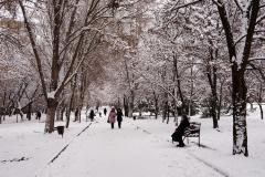 Алея по бульвару Шевченка