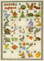 Alphabet for learning letters