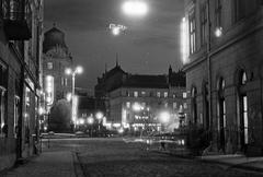 Mitskevycha Sq. from the Side of Brativ Rohatyntsiv St.