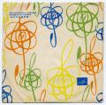 Vinyl record envelope