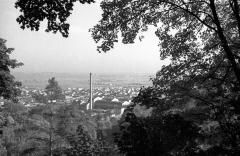 Панорама Львова
