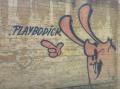 Стріт-арт «PLAYBODICK»