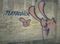 Стріт-арт «PLAYBODICK»
