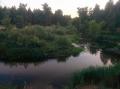 На березі річки Борова