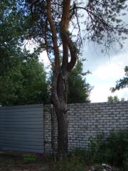 Вулиця Силікатна