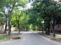 Вулиця 8 березня