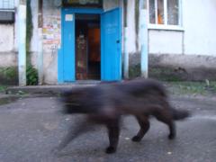 Вулиця Б. Хмельницького (колишня Гагаріна)
