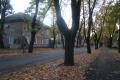 Вулиця 8 березня