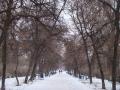 Бульвар Незалежності України (Дружби Народів)