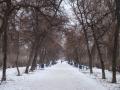 Бульвар Незалежності України (Дружби Народів)