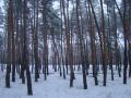 Шосе Будівельників