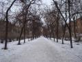 Бульвар Незалежності України (Дружби Народів)