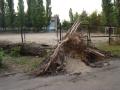 65-й квартал