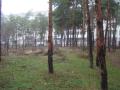 Вулиця Лисичанська