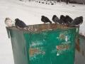 Проспект Гвардійський