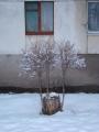 52-й мікрорайон