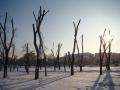 Площа Перемоги