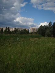 Озеро Чисте