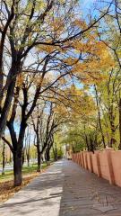 Осінній краєвид