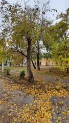 Осінній сквер