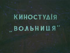 "Афганістан болить в моїй душі"