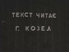 "Літо в Покошичах"