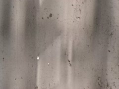"Вічна памʼять"