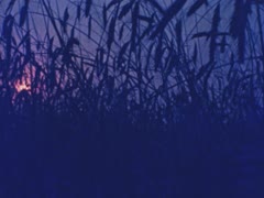 "Хліб-хліб"