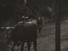 "Люба, Галінка"
