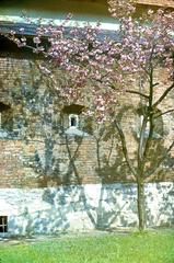 Bernardine monastery wall from Radianska street